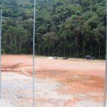 Campo de futebol do Parque do Pedroso recebe obras de revitalização