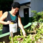 Santo André cria projeto para trocar resíduos orgânicos por hortaliça ou composto