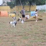 Santo André inaugura o maior Pet Parque da América Latina