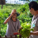 Santo André inicia consulta pública para construir política de agricultura urbana