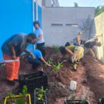 Projeto A3P implementa hortas comunitárias em prédios públicos de Santo André