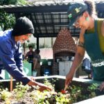 Quintal Verde Vila Guiomar completa um ano com 15 toneladas de resíduos orgânicos processados