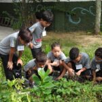 Projeto Henducadores Mirins inicia nova turma e amplia ações de educação ambiental em Santo André
