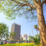 Santo André figura entre 18 cidades brasileiras premiadas pelo Pacto Global de Prefeitos pelo Clima e Energia